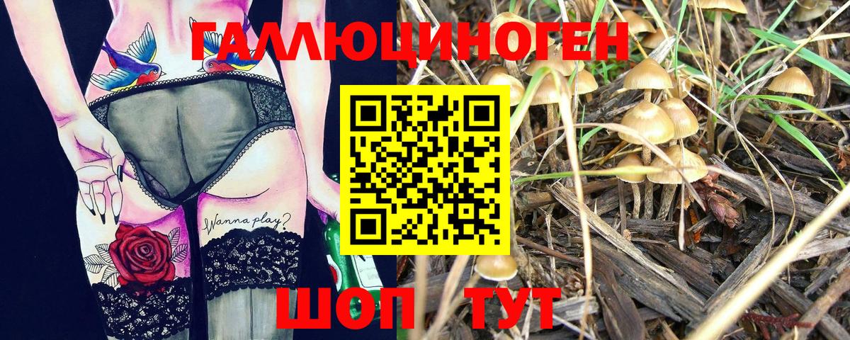 Псилоцибиновые грибы MAGIC MUSHROOMS Гусиноозёрск