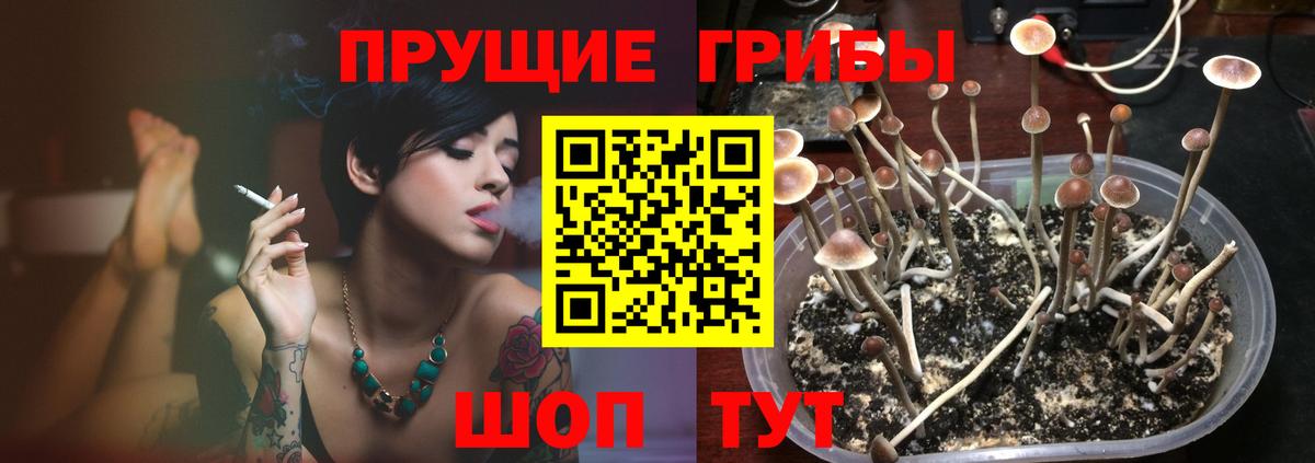Гусиноозёрск  Галлюциногенные грибы прущие грибы  где можно купить наркотик  Галлюциногенные грибы ЛСД  Вход с VPN 